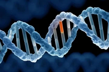 Tính cách là gì? Các tính cách con người bẩm sinh hay môi trường