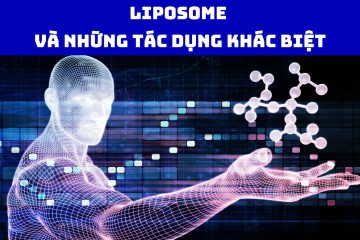 Liposome và những tác dụng khác biệt